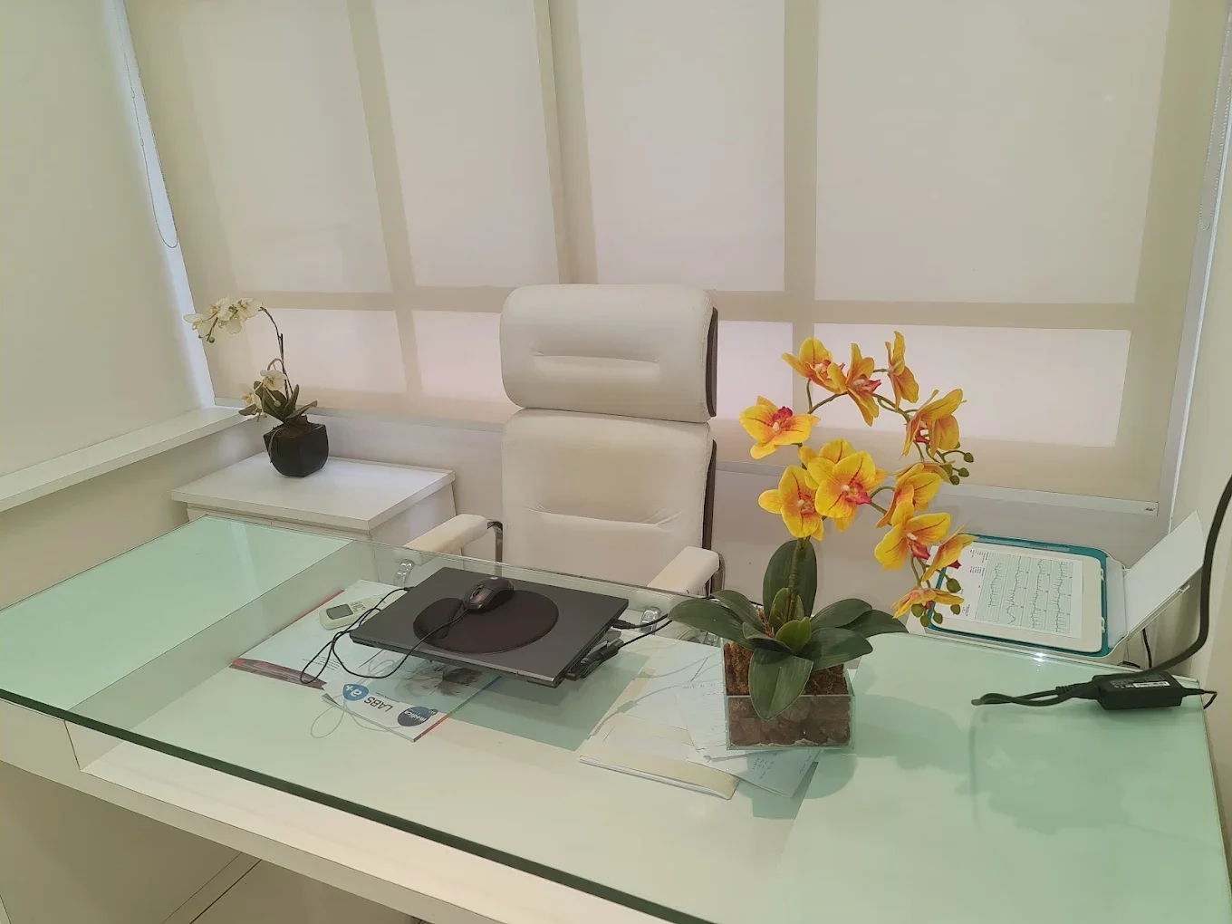 Detalhe da sala da Dra. Cynthia Kane com poltrona e orquídeas